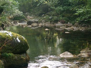 Villa in Sistelo (Norte) oder Ferienwohnung oder Ferienhaus