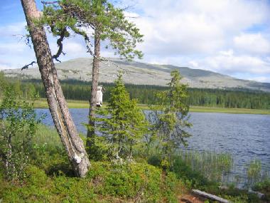 Ferienhaus in �k�slompolo (Lappi) oder Ferienwohnung oder Ferienhaus