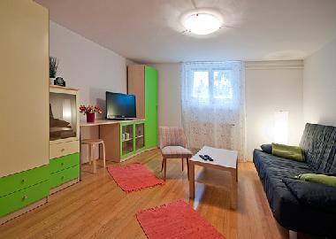 Ferienwohnung in Ljubljana (Ljubljana) oder Ferienwohnung oder Ferienhaus