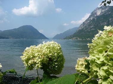 Chalet in Porlezza (Como) oder Ferienwohnung oder Ferienhaus