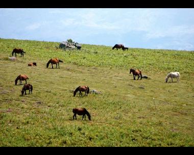 Villa in Sistelo (Norte) oder Ferienwohnung oder Ferienhaus