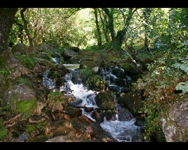 Villa in Sistelo (Norte) oder Ferienwohnung oder Ferienhaus
