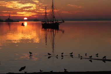 Ferienwohnung in Eckernf�rde (Ostsee-Festland) oder Ferienwohnung oder Ferienhaus