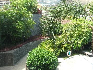 Ferienwohnung in Puerto de la Cruz (Teneriffa) oder Ferienwohnung oder Ferienhaus