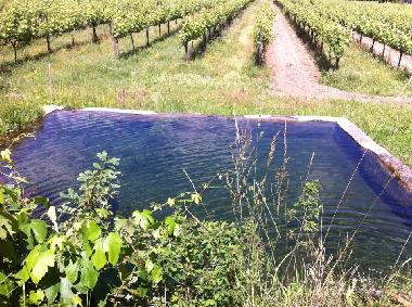 Ferienhaus in Penafiel (Norte) oder Ferienwohnung oder Ferienhaus