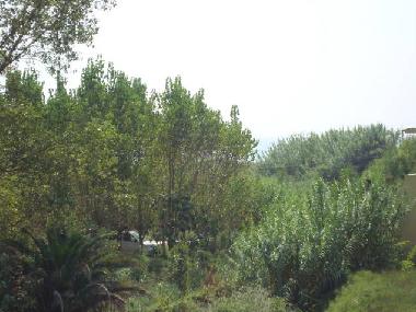 Pension in Gardeno (Kerkyra) oder Ferienwohnung oder Ferienhaus