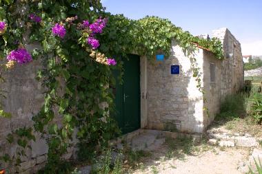 Ferienhaus in Grohote (Splitsko-Dalmatinska) oder Ferienwohnung oder Ferienhaus
