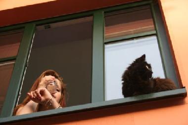 Waren (M�ritz) - Haus Buchen - Ausblick