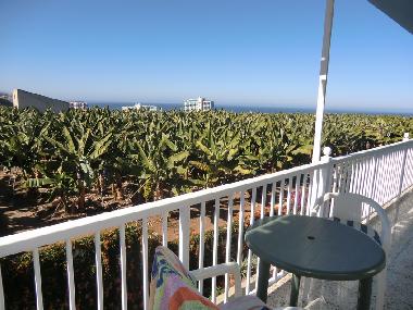 Ferienwohnung in Puerto de la Cruz (Teneriffa) oder Ferienwohnung oder Ferienhaus