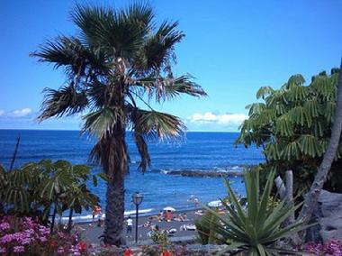 Ferienwohnung in Puerto de la Cruz (Teneriffa) oder Ferienwohnung oder Ferienhaus