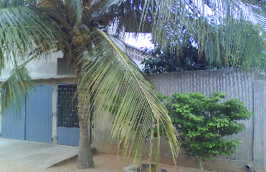 Villa in Lom� (Lome) oder Ferienwohnung oder Ferienhaus