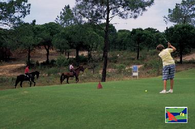 Ferienwohnung in Faro (Algarve) oder Ferienwohnung oder Ferienhaus