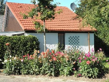 Ein Blumenmeer neben dem Haus im Sommer