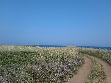 Ferienwohnung in Liznjan Medulin (Istarska) oder Ferienwohnung oder Ferienhaus