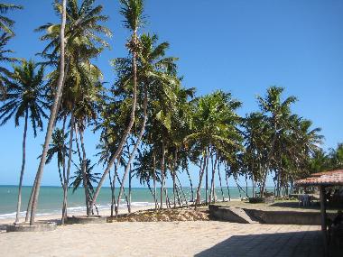 Ferienhaus in Praia de Zumbi (Rio Grande do Norte) oder Ferienwohnung oder Ferienhaus