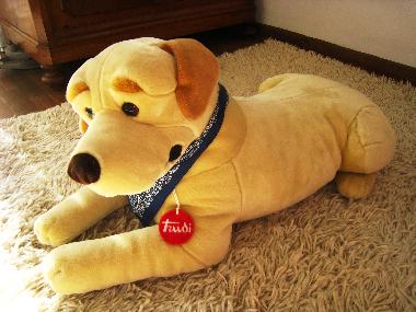 Ferienwohnung in Sala Comacina (Como) oder Ferienwohnung oder Ferienhaus