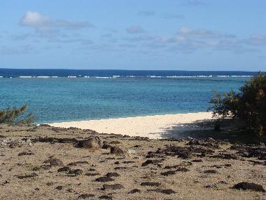 Villa in Port Mathurin (Rodrigues) oder Ferienwohnung oder Ferienhaus