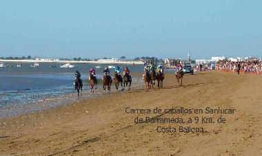 Ferienwohnung in Rota (C�diz) oder Ferienwohnung oder Ferienhaus