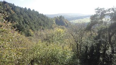 Blick aus dem groen Wohnzimmerfenster