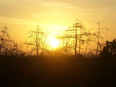 Ferienhaus in denpasar (Bali) oder Ferienwohnung oder Ferienhaus