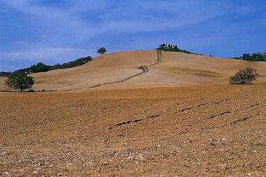 Pension in Belforte Radicondoli (Siena) oder Ferienwohnung oder Ferienhaus