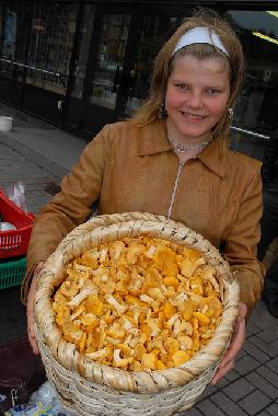 Ferienwohnung in Liepaja (Lettland) oder Ferienwohnung oder Ferienhaus