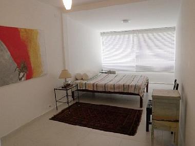 Ferienwohnung in Rio de Janeiro (Rio de Janeiro) oder Ferienwohnung oder Ferienhaus