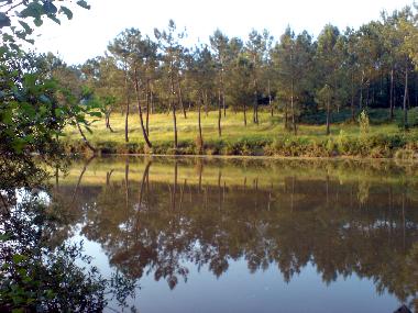 Ferienhaus in Montpeyroux (Dordogne) oder Ferienwohnung oder Ferienhaus