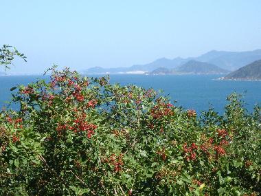 Chalet in florianopolis (Santa Catarina) oder Ferienwohnung oder Ferienhaus