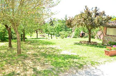 Pension in Lucignano (Arezzo) oder Ferienwohnung oder Ferienhaus