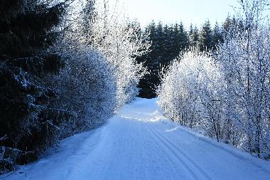 Ferienhaus in Haidm�hle (Niederbayern) oder Ferienwohnung oder Ferienhaus