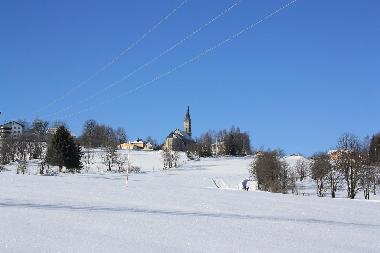 Ferienhaus in Haidm�hle (Niederbayern) oder Ferienwohnung oder Ferienhaus