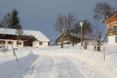 Ferienhaus in Haidm�hle (Niederbayern) oder Ferienwohnung oder Ferienhaus