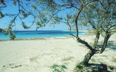 Ferienhaus in Suvereto (Grosseto) oder Ferienwohnung oder Ferienhaus