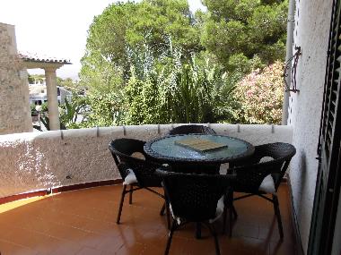 Ferienwohnung in ALCUDIA (Mallorca) oder Ferienwohnung oder Ferienhaus