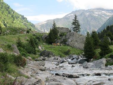 Ferienwohnung in Platta (Disentis-Sedrun) oder Ferienwohnung oder Ferienhaus