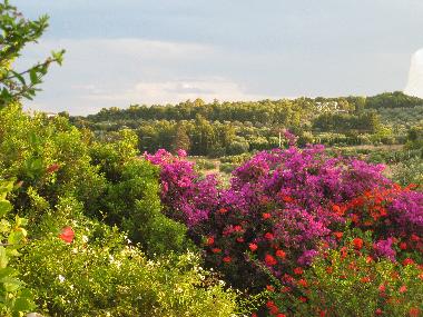 Villa in Porto Heli (Argolida) oder Ferienwohnung oder Ferienhaus