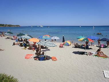 Die traumhaften Str�nde