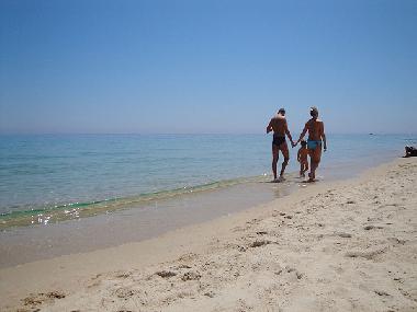 Die traumhaften Str�nde