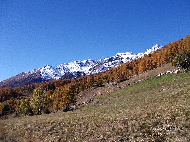 Ferienwohnung in peio (Trento) oder Ferienwohnung oder Ferienhaus