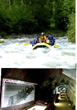 Ferienwohnung in peio (Trento) oder Ferienwohnung oder Ferienhaus
