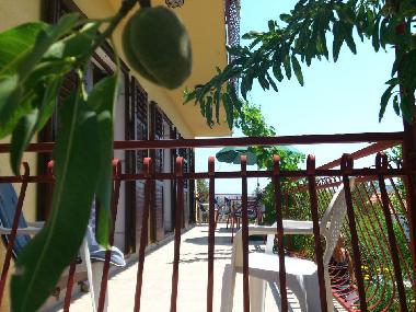 Ferienwohnung in Primosten (Sibensko-Kninska) oder Ferienwohnung oder Ferienhaus