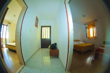 Ferienwohnung in Primosten (Sibensko-Kninska) oder Ferienwohnung oder Ferienhaus