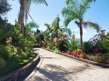Villa in Funchal (Madeira) oder Ferienwohnung oder Ferienhaus