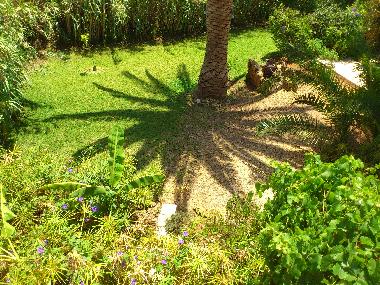 Ferienhaus in Conil (Cdiz) oder Ferienwohnung oder Ferienhaus