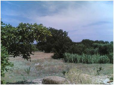 Ferienhaus in Cisternino (Brindisi) oder Ferienwohnung oder Ferienhaus