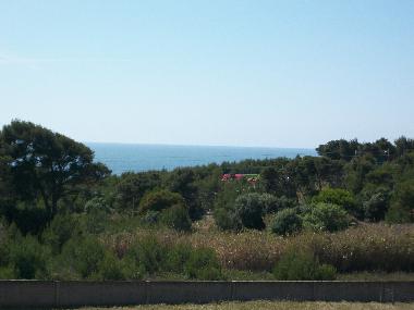 Ferienwohnung in Cascais Guincho (Grande Lisboa) oder Ferienwohnung oder Ferienhaus
