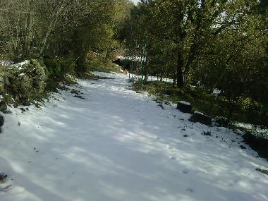 Ferienwohnung in Zafferana Etnea (Catania) oder Ferienwohnung oder Ferienhaus