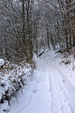 Ferienwohnung in Waldbreitbach (Westerwald) oder Ferienwohnung oder Ferienhaus