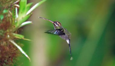Ferienhaus in Quito Region (Pichincha) oder Ferienwohnung oder Ferienhaus